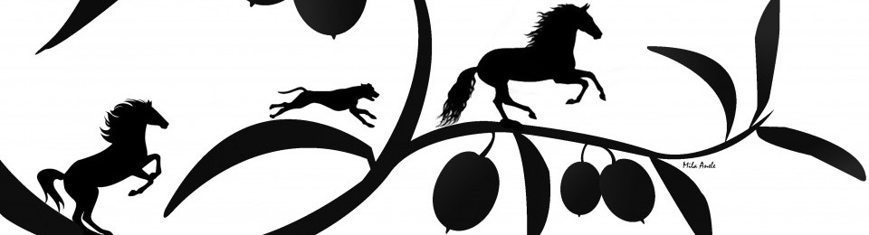 cropped-cropped-banner